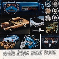 1981_Oldsmobile_Midsize-20