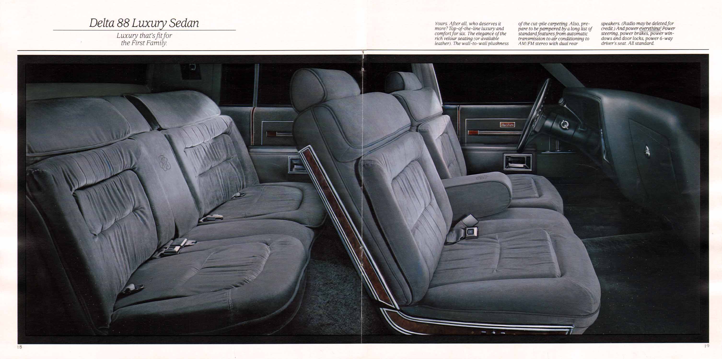 1985_Oldsmobile_Full_Size-18-19