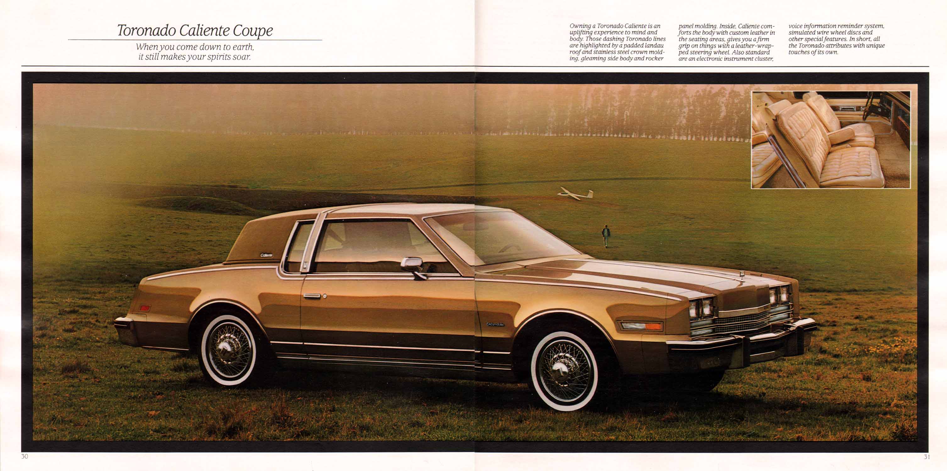 1985_Oldsmobile_Full_Size-30-31