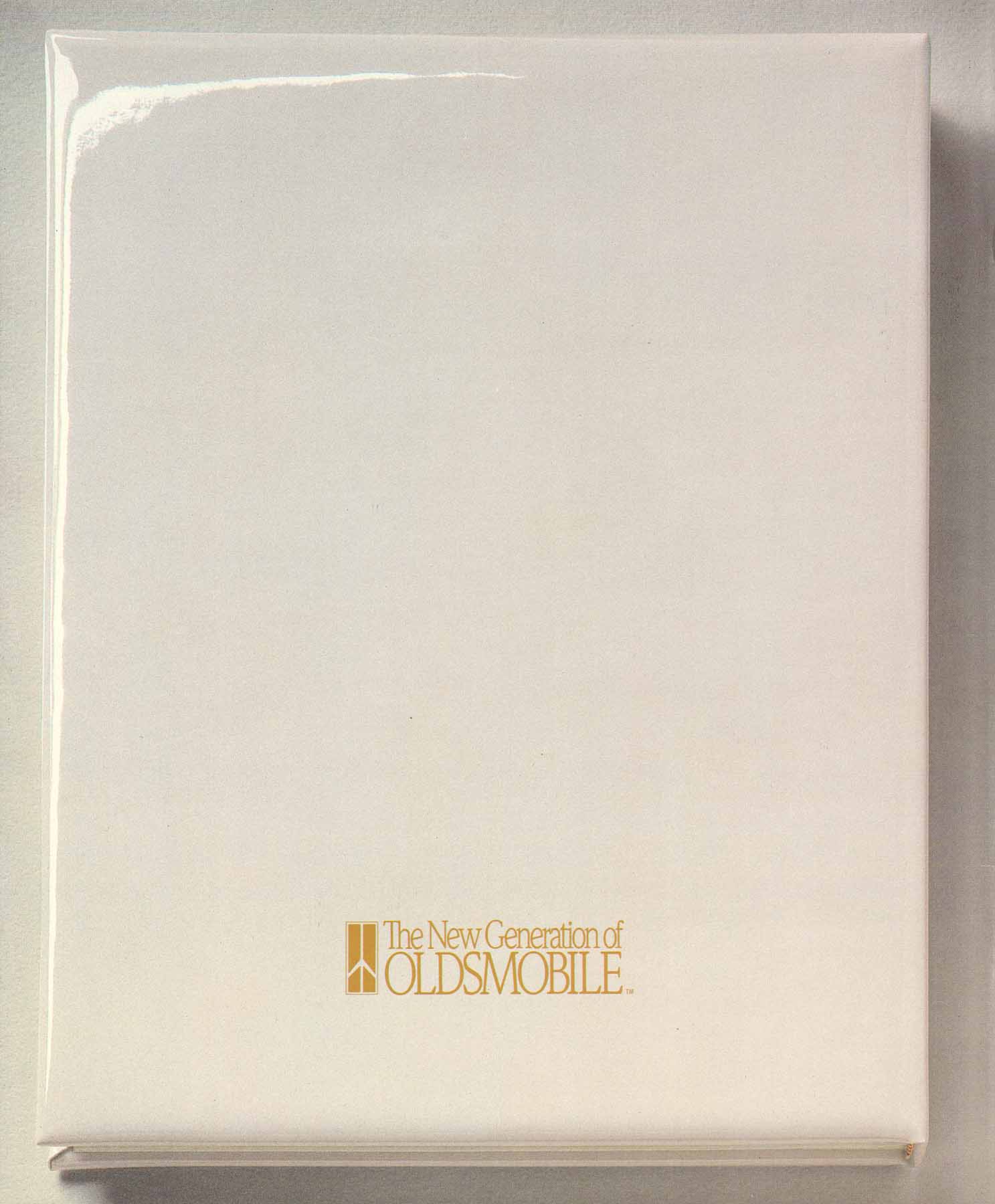 1989_Oldsmobile_Cutlass_Prestige-54