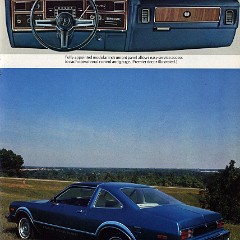 1976_Plymouth_Volare_Booklet-09