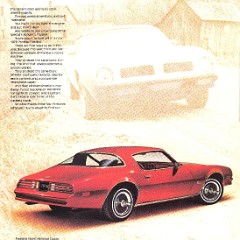 1976_Pontiac_Firebird-02