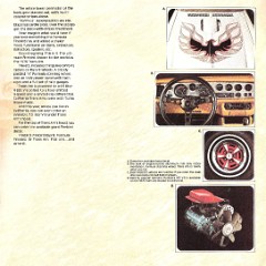 1976_Pontiac_Firebird-04