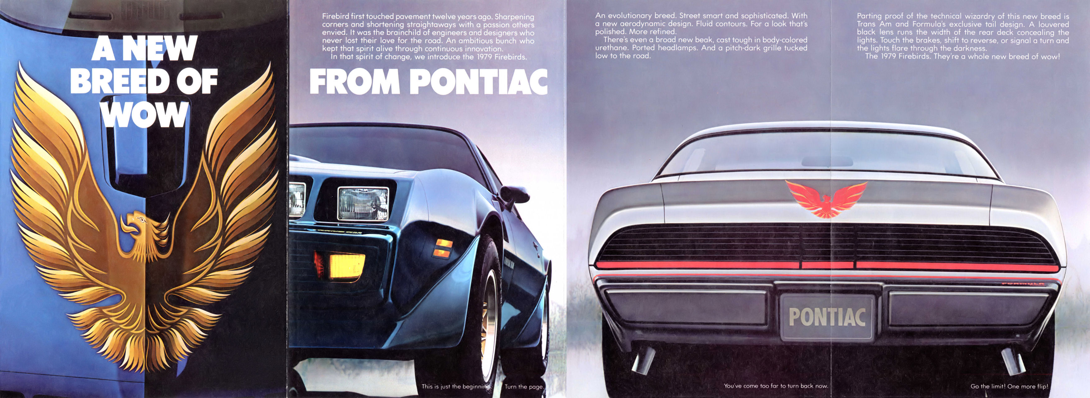 1979_Pontiac_Firebird_Folder-01