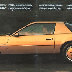 1982_Pontiac_Firebird-06-07
