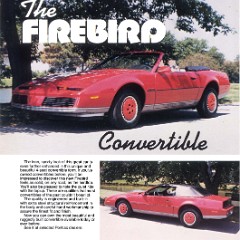 1982-Pontiac-Firebird-Convertible-Poster