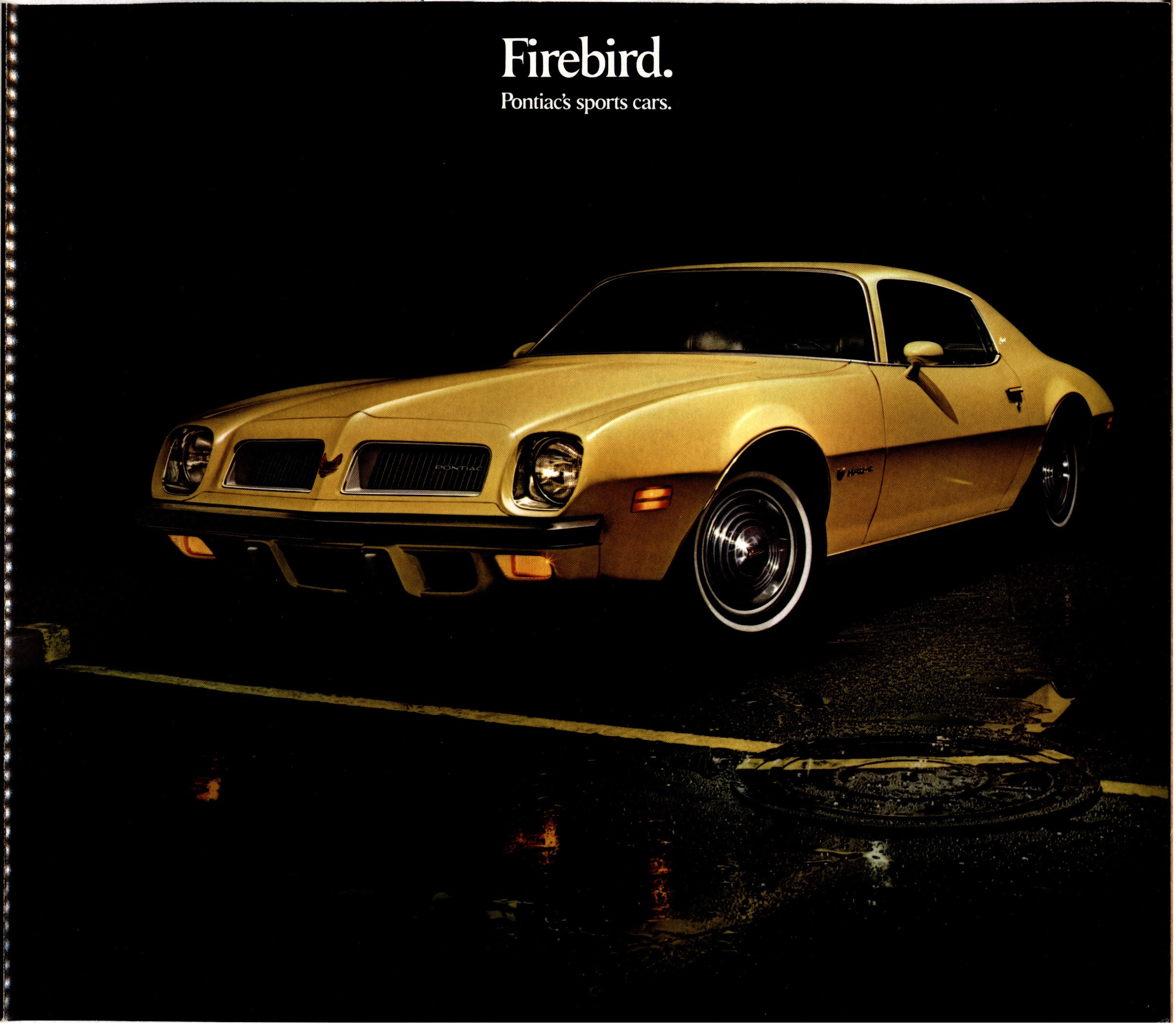 1974 Pontiac Firebird Foldout 01