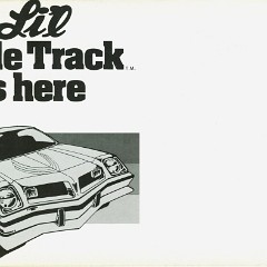 1975-Pontiac-Astre-Lil-Wide-Track-Foldout