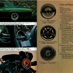 1977_Pontiac_Full_Line_Prestige-07-08