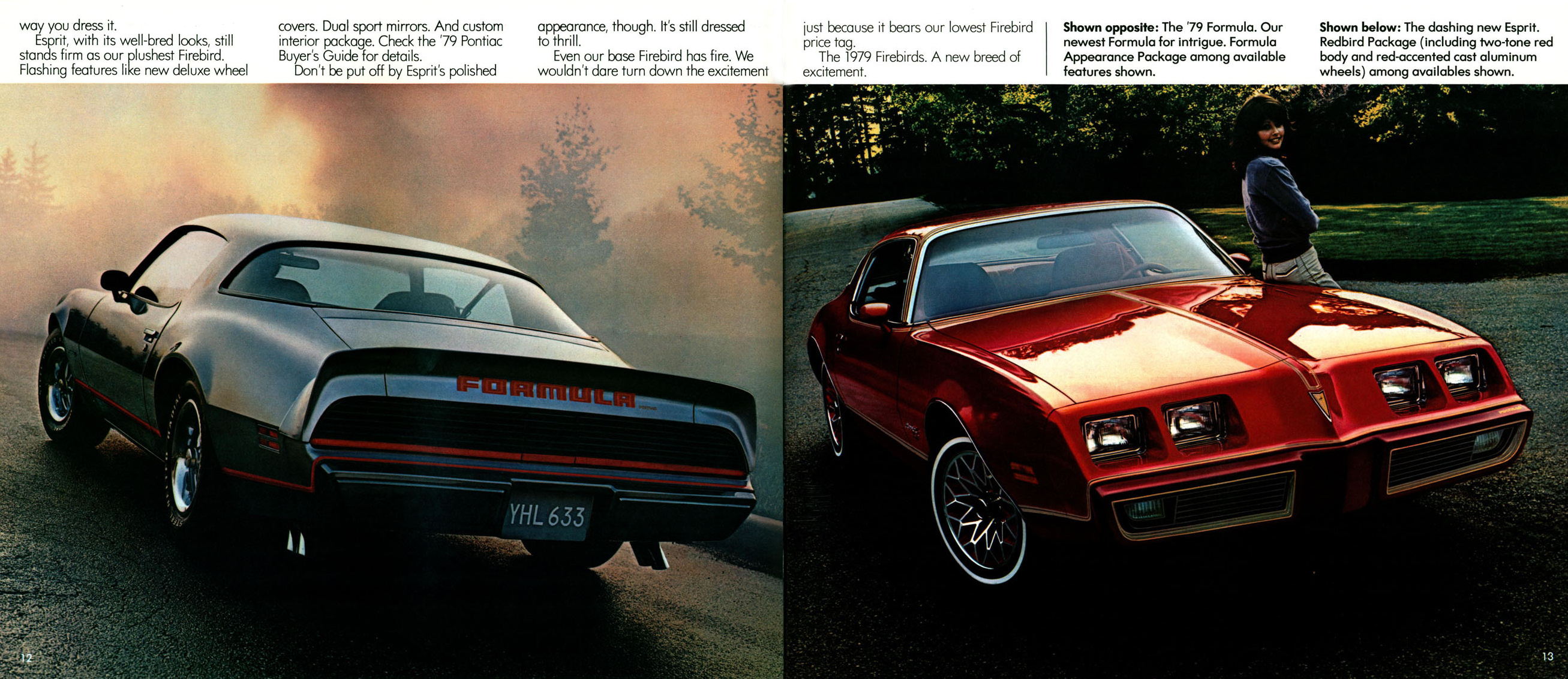 1979_Pontiac_Full_Line_Prestige-12-13