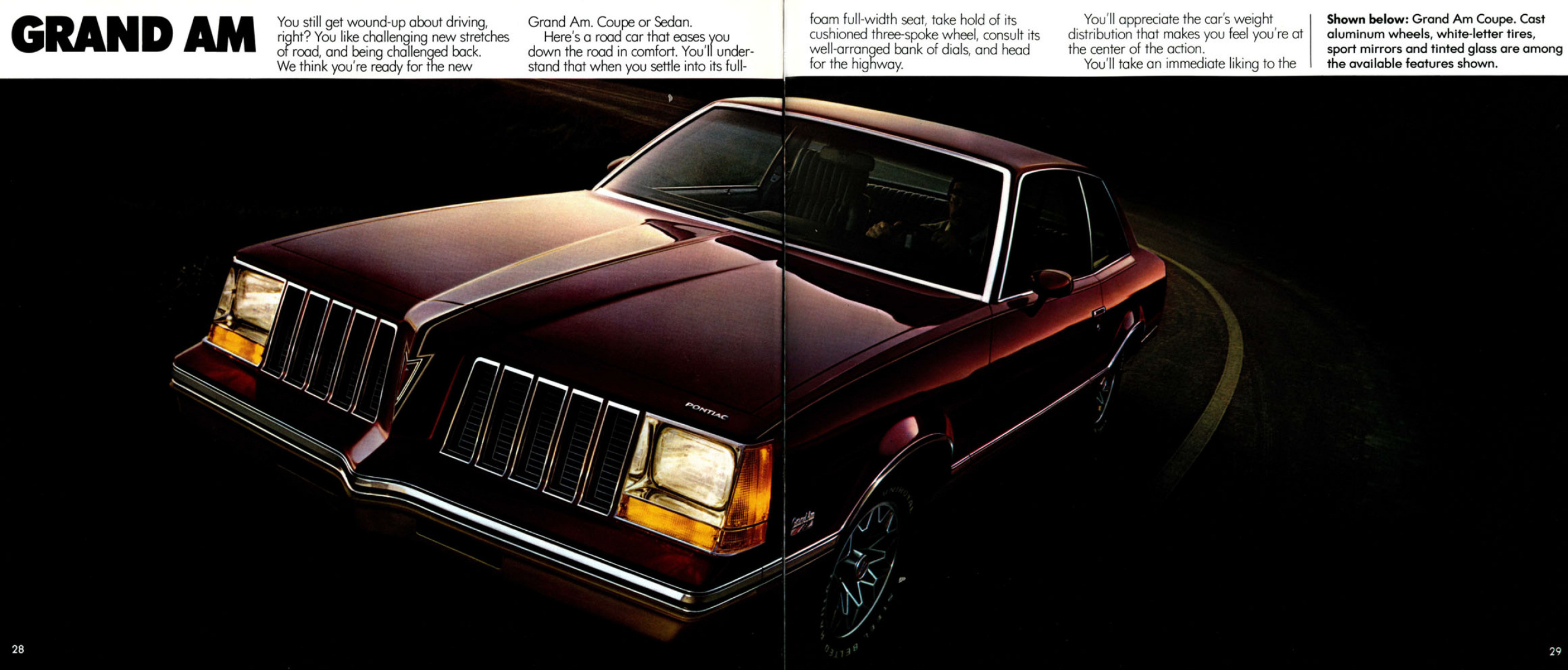 1979_Pontiac_Full_Line_Prestige-28-29