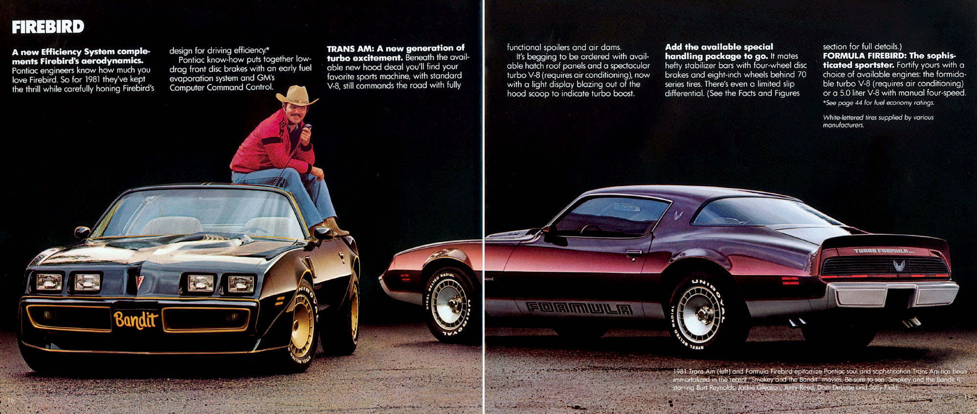 1981_Pontiac-10