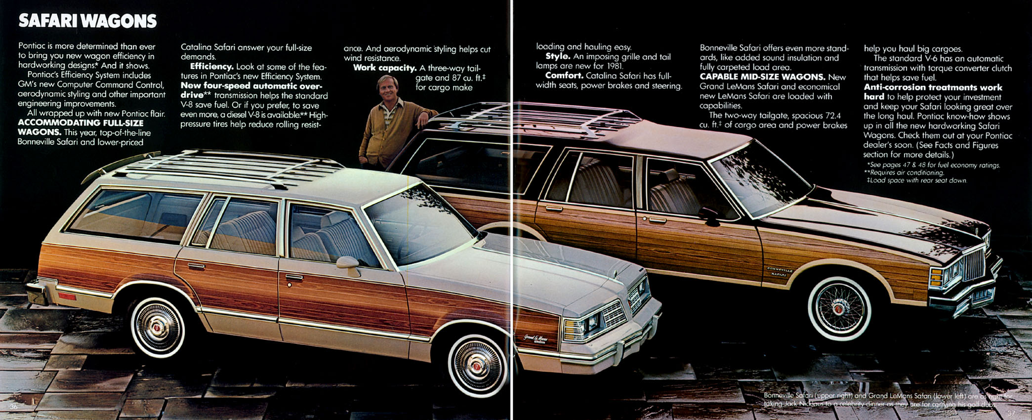 1981_Pontiac-20