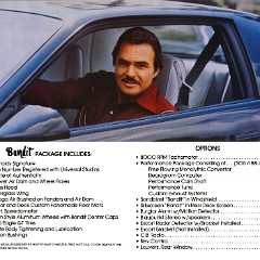 1982 Pontiac Firebird Trans Am Bandit-06