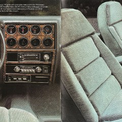 1982_Pontiac_Phoenix-08-09