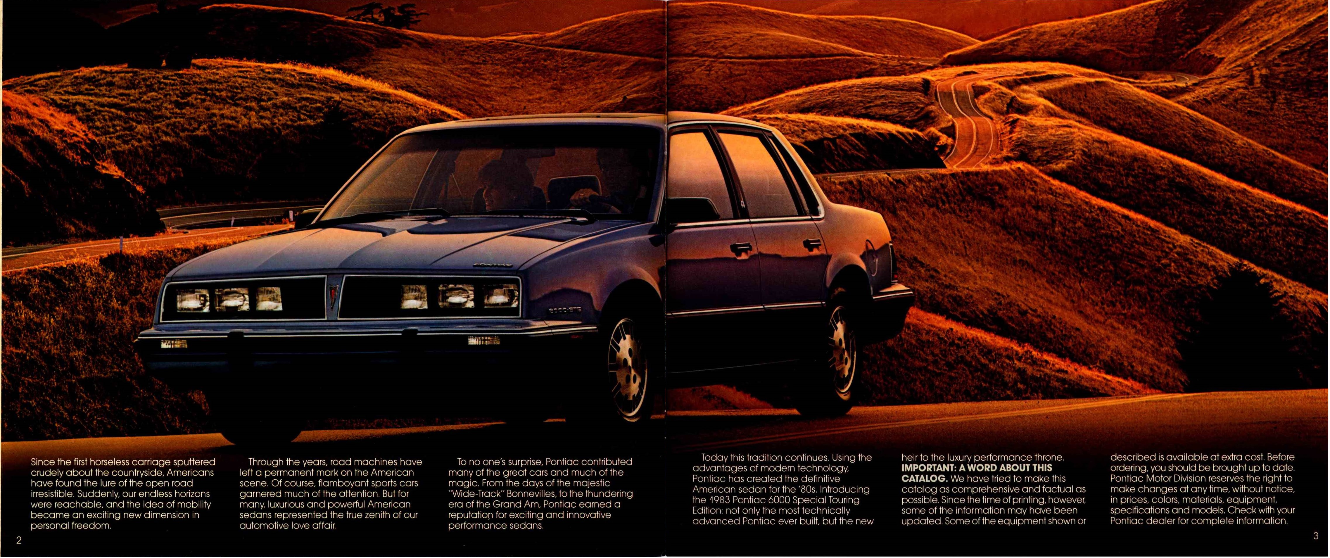1983 Pontiac 6000 STE 02-03