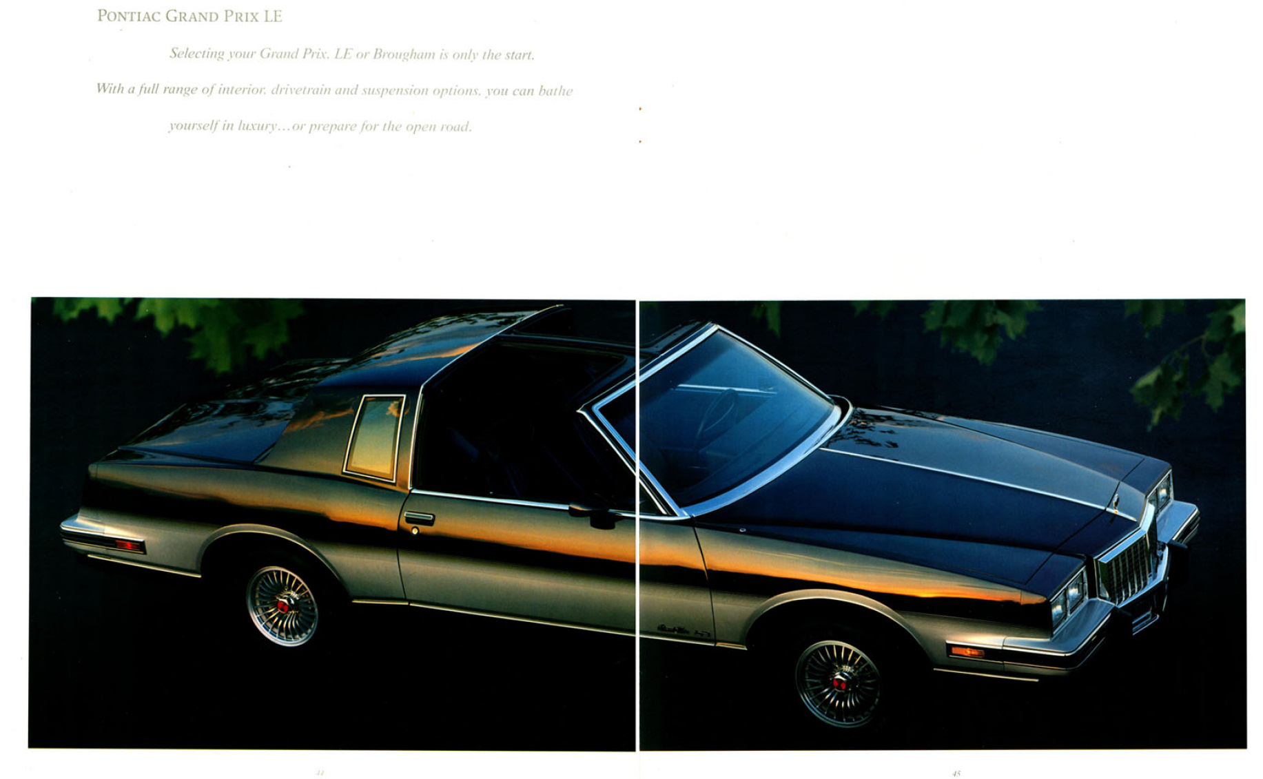 1986_Pontiac_Full_Line_Prestige-44-45