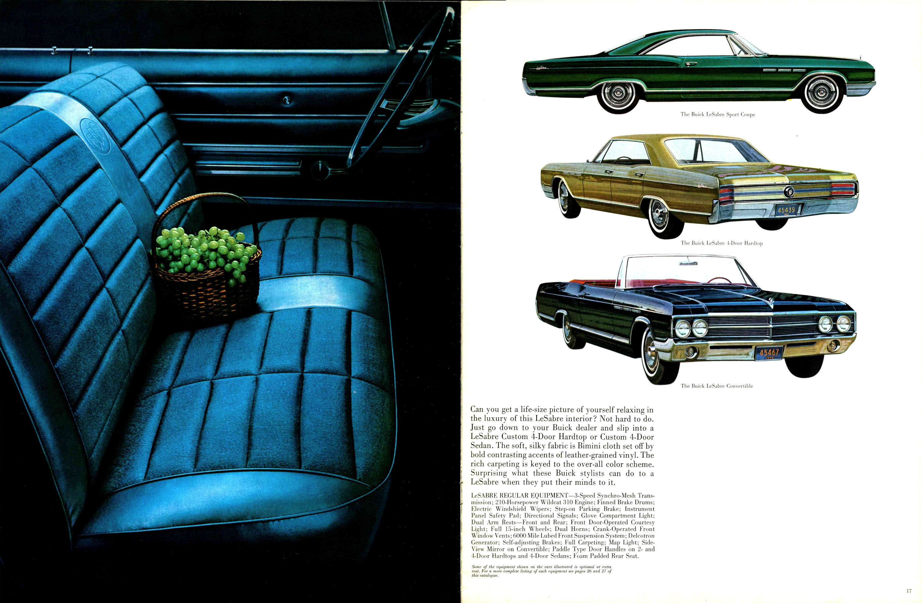 1965 Buick Full Line (Cdn)-16-17