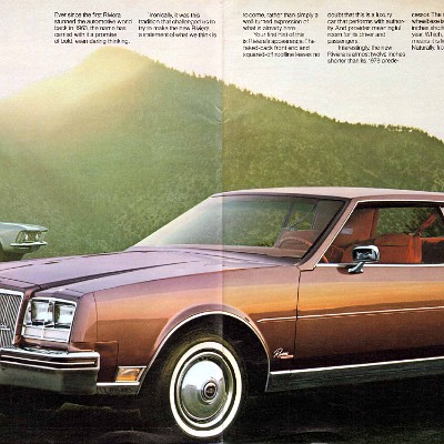 1979 Buick Full Line Prestige-04-05