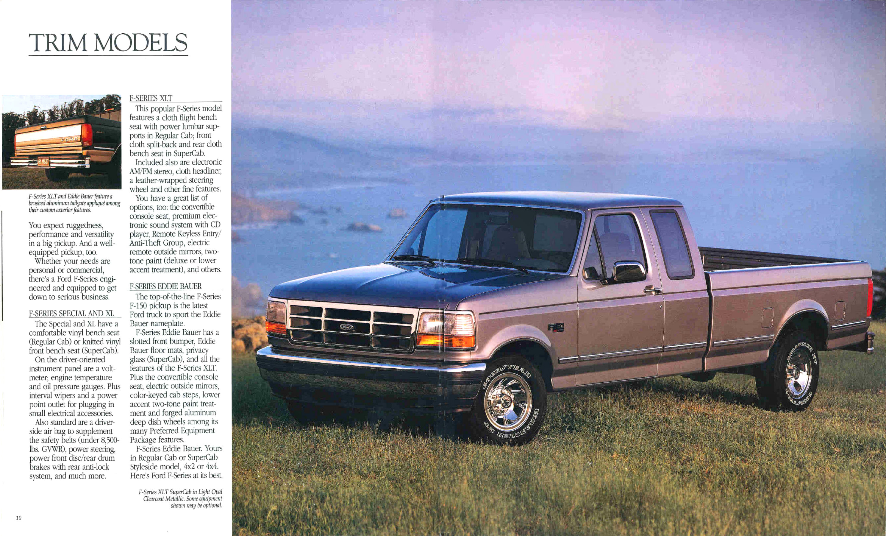 1995 Ford F-Series-10-11