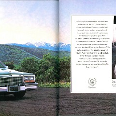 1981 Cadillac Full Line Brochure (Cdn) 10-11