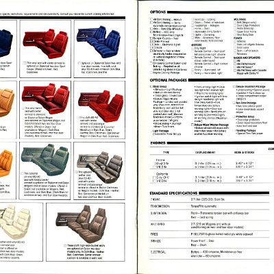 1981 Dodge Diplomat Brochure 10-11