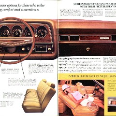 1974 Ford Torino Brochure (Rev) 20-21