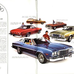 1974 Ford Torino Brochure 02-03