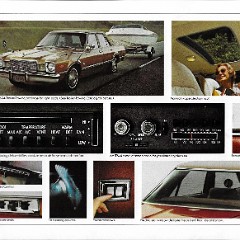 1976 Plymouth Volare Brochure 14