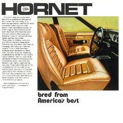 1971 Rambler Hornet (Aus)-05