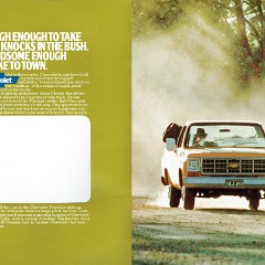 1977 Chevrolet Light Trucks (Aus)-02-03