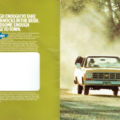 1978 Chevrolet Light Trucks (Aus)-02-03