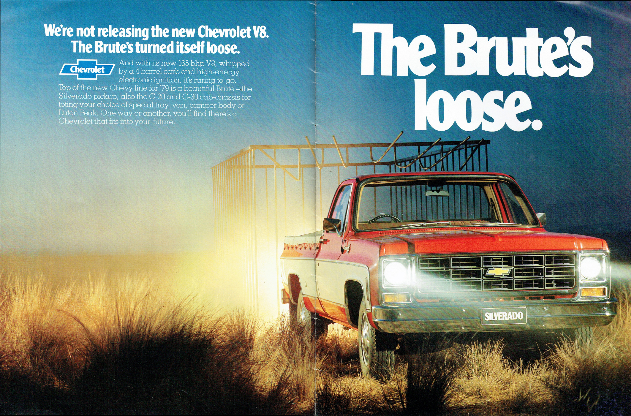 1979 Chevrolet V8 Trucks (Aus)-02-03