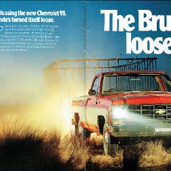 1979 Chevrolet V8 Trucks (Aus)-02-03