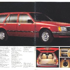 1980_Holden_Commodore-10