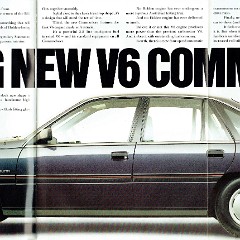 1989_Holden_Commodore_VN-02-03-04