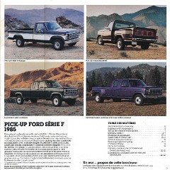 1985_Ford_F-Series_Pickup_Cdn-Fr-03