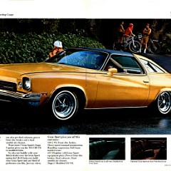 1973_Buick_Century_Cdn-12-13