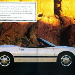 1991_Buick_Full_Line_Prestige_Cdn-18-19