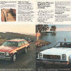 1977_Chevrolet_Chevelle_Cdn-12-13