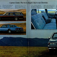 1977_Chevrolet_Full_Size_Cdn-12-13