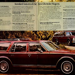 1977_Chevrolet_Full_Size_Cdn-18-19