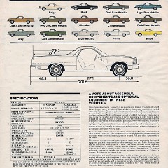 1980_Chevrolet_El_Camino_Cdn-08