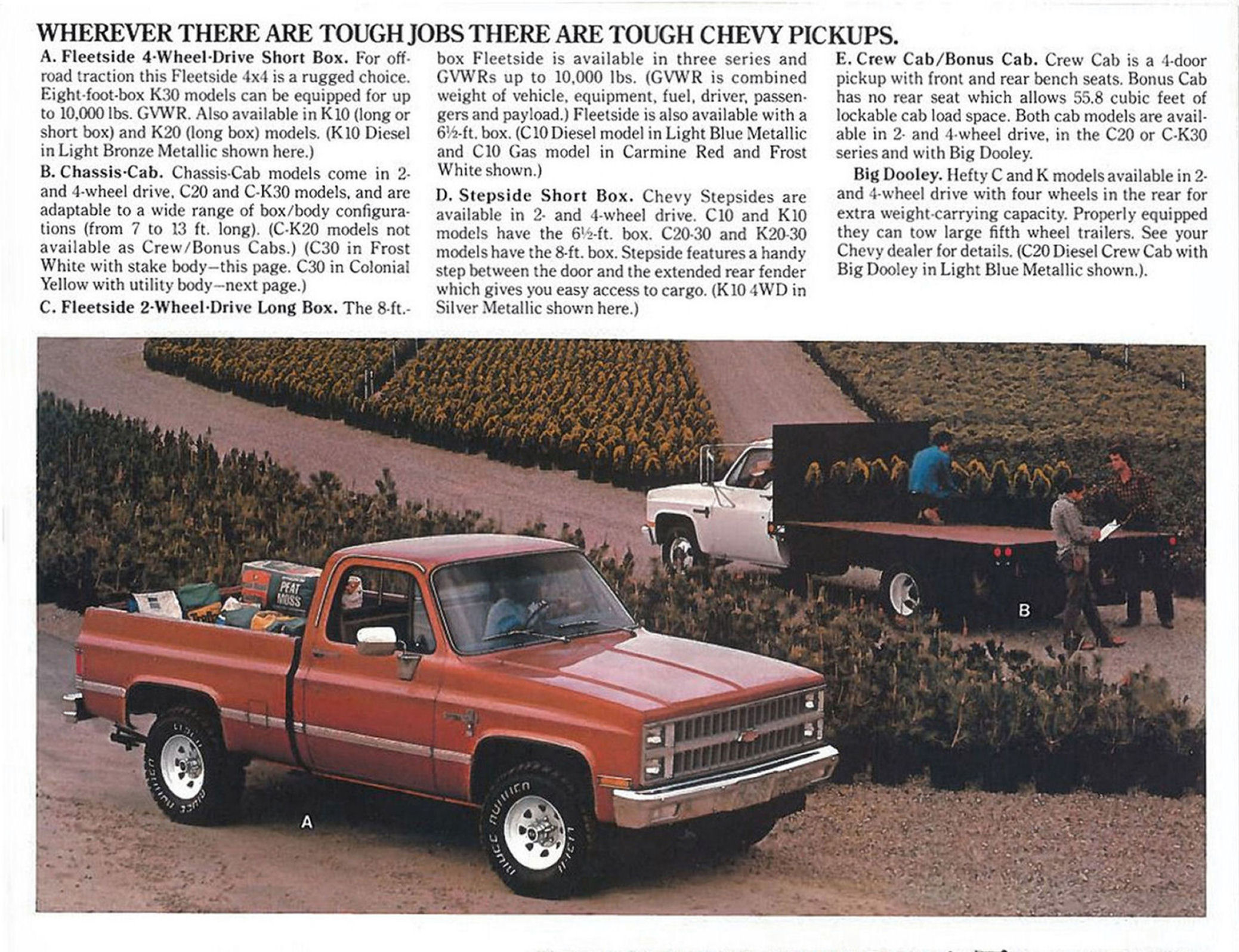 1982_Chevrolet_Pickup_Cdn-06