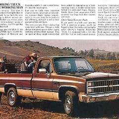 1982_Chevrolet_Pickup_Cdn-03
