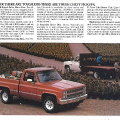 1982_Chevrolet_Pickup_Cdn-06