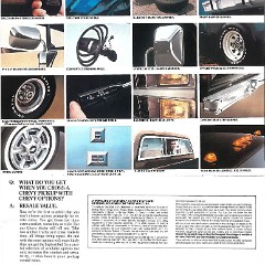 1982_Chevrolet_Pickup_Cdn-10-11