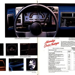 1989 GMC S-15 Pickups (Cdn)_Page_09