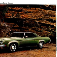 1973_Oldsmobile_Full_Size_Cdn-06-07