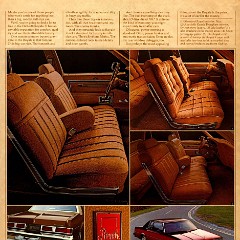 1979_Oldsmobile_Full_Size_Cdn-15